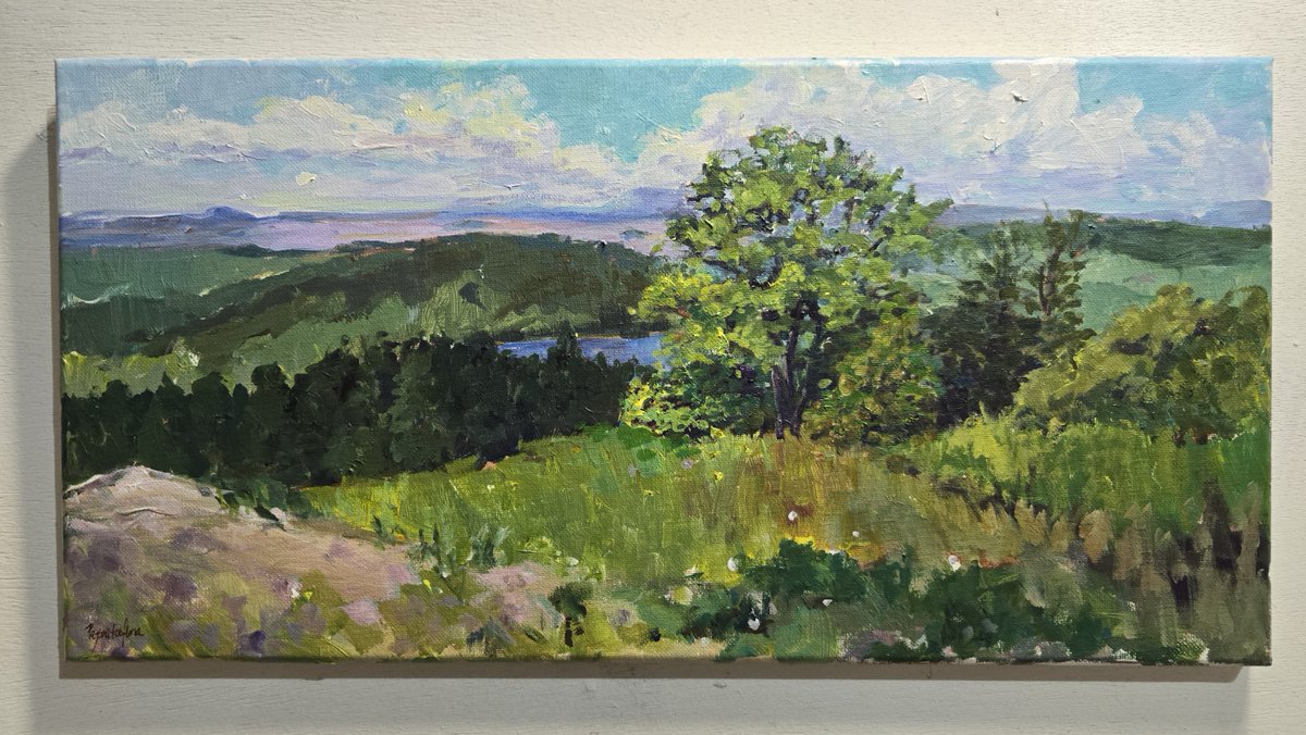 Pajaritaflora | MaryAnn Ead ๐โฎ๐โค๏ธ (@maryannead) on Twitter photo Auction Update: 
4 bids on this plein air painting from Caterpillar Hill! The auction ends tomorrow at 7:30 pm. Blue Hill Library Paint the Peninsula benefit auction. 
#artauction #auction #painting #artist #nftartist Auction Update: 
4 bids on this plein air painting from Caterpillar Hill! The auction ends tomorrow at 7:30 pm. Blue Hill Library Paint the Peninsula benefit auction. 
#artauction #auction #painting #artist #nftartist