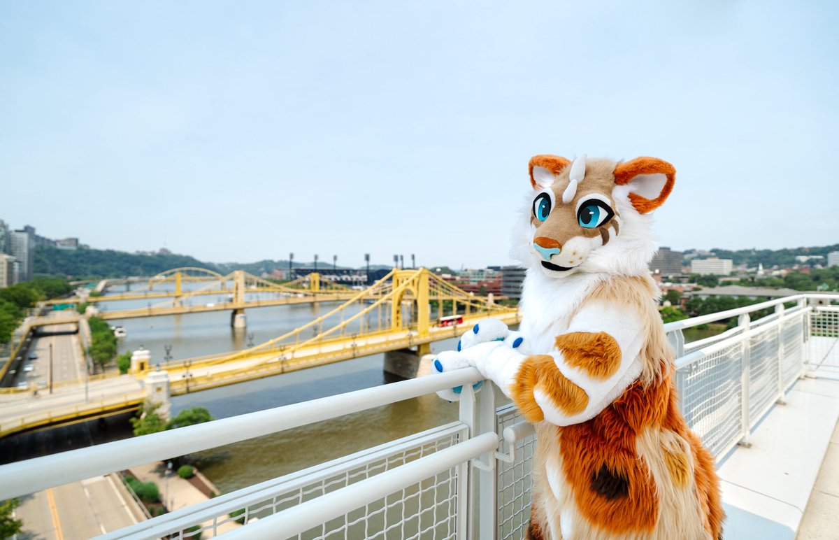 ✨Kora 🔜 FWA, AC, MPLX (@wildkore_) on Twitter photo The San Francisco Golden Gate Bridge 😍
📸 <a href="/_CrowCreations_/">Crow Creations Fur-tography! 🔜 MP+AFC+FC+TFF!</a>
#anthrocon #fursuitfriday The San Francisco Golden Gate Bridge 😍
📸 <a href="/_CrowCreations_/">Crow Creations Fur-tography! 🔜 MP+AFC+FC+TFF!</a>
#anthrocon #fursuitfriday