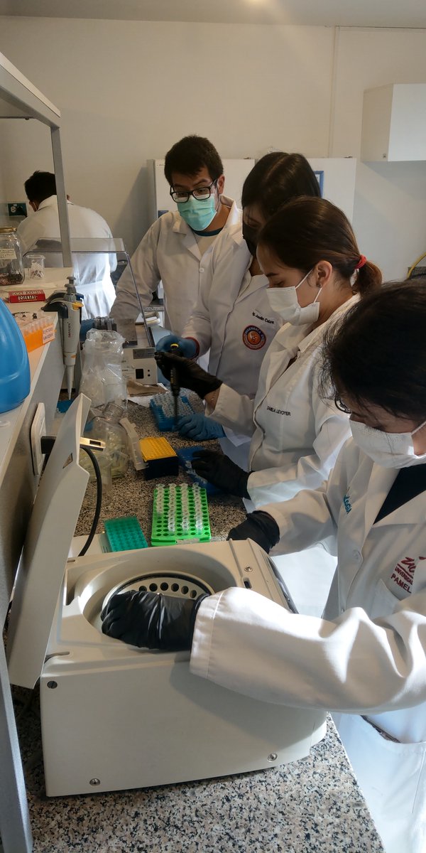 Producción lab <a href="/INABIO_EC/">INABIO.EC</a>, 3era semana Julio:
Nuevas secuencias de ADN 🧬, total 189:
70  🐠amazónicos
1ave🐦
1trypanosoma
21mamíferos 🦇🐁
4🐝
13🪲
25🌿 amazónicas
16🦠
33🦎 y 🐸
5🍄
Muchos proyectos-contribuciones que desarrollan conocimiento y tecnología en Ecuador