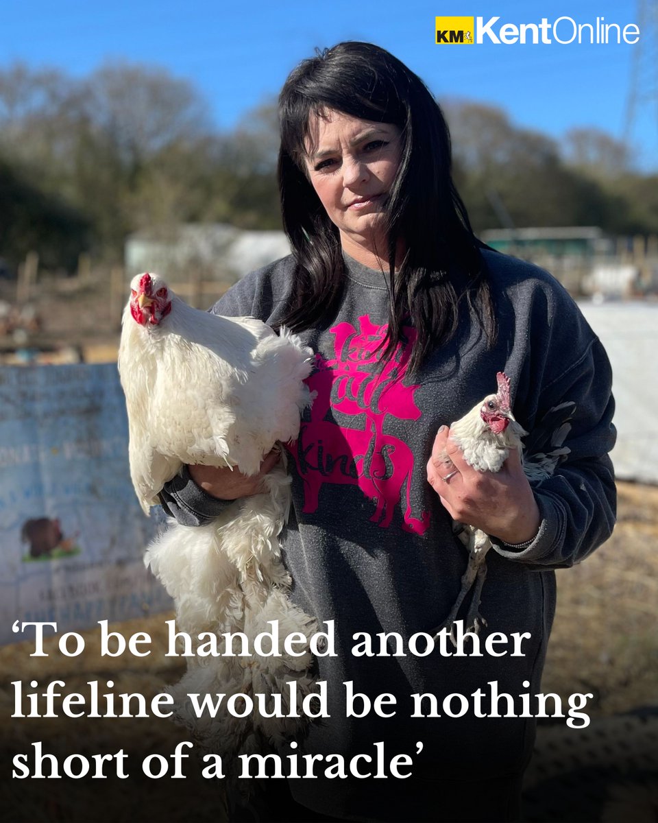 A sanctuary owner needs to raise £500k to buy the land where she and 400 rescued animals live...
Full story: kentonline.co.uk/sittingbourne/…