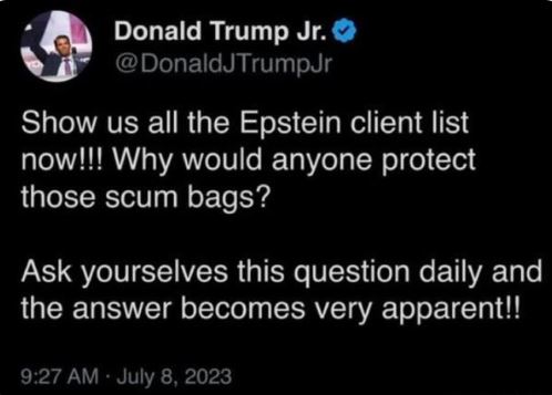 I rarely agree with Donald Trump Jr.

But his tweet from 2023 says it all...

💙 #StrongerTogether 💙 #Resist  💙 #Protest
#ReleaseTheEpsteinFiles