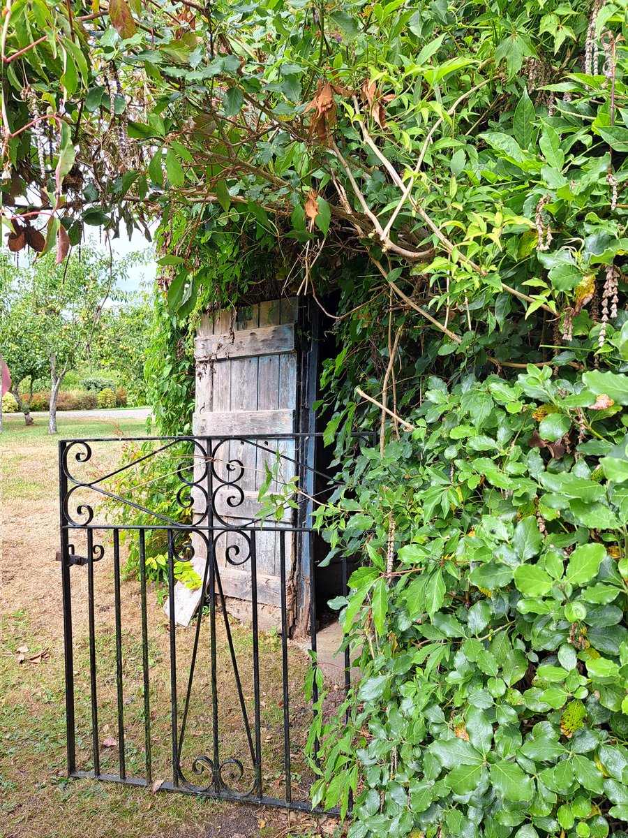 AuthorTracyRees's tweet image. DAY OFF!!! And what's more, a weekend away. I caught the train to beautiful Herefordshire to stay with a lovely friend and her gorgeous family for a couple of days. Instant relaxation #weekend #fridaymorning #friends #books #Countryside #NatureBeauty
