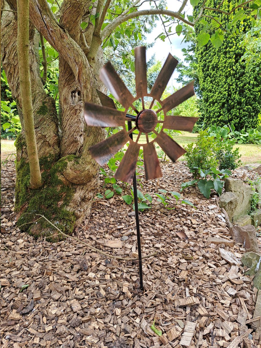 AuthorTracyRees's tweet image. DAY OFF!!! And what's more, a weekend away. I caught the train to beautiful Herefordshire to stay with a lovely friend and her gorgeous family for a couple of days. Instant relaxation #weekend #fridaymorning #friends #books #Countryside #NatureBeauty