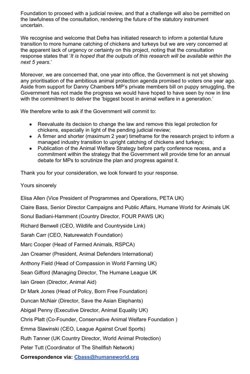 humaneworlduk's tweet image. Today 17 animal orgs have written👇to @DefraGovUK Ministers to protest against Govt plans next week to legalise the cruel catching of chickens by the legs.
This is far from the ‘biggest boost for animals’ voters were promised by @SteveReedMP
❌Please share to demand better!❌