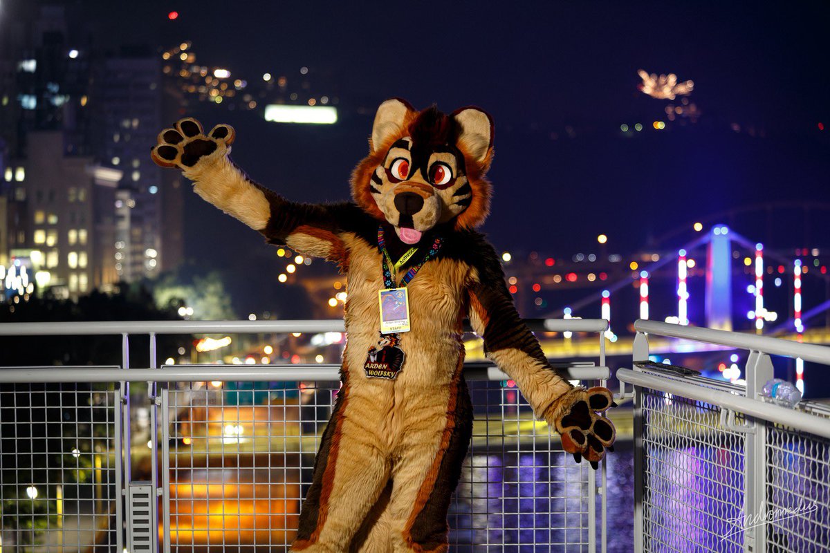 ArdenWolfsky's tweet image. Happy Friday fluffs ❤️ I love summer nights in the city 

📸 @AndromedusWolf #FursuitFriday #furry #FridayVibes #SummerVibes
