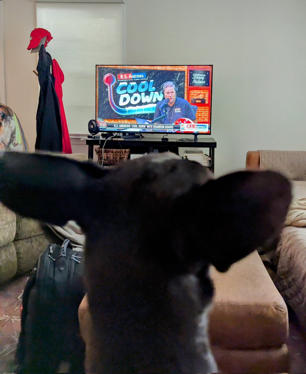 Got a Dawg's Eye view through Boo Radley. She likes <a href="/DawgNationDaily/">Brandon Adams</a> too.