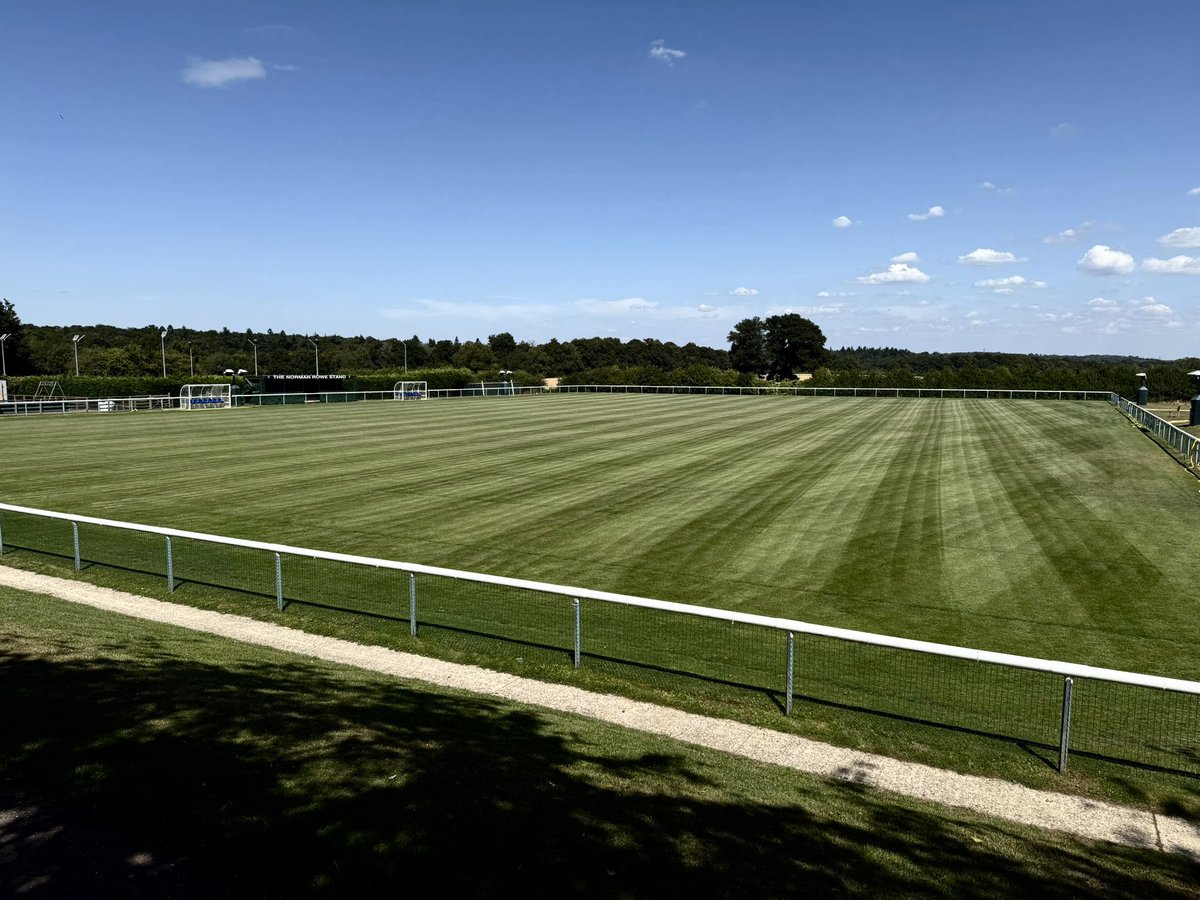 1 week tomorrow!! Pitch is looking great