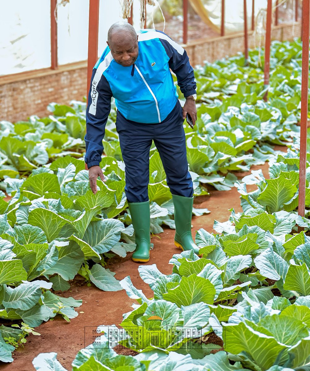 GeneralNeva's tweet image. Mu gihugu cacu, nta muntu afise umwete wo gufata isuka yo kurima arimarima.
Nta kintu gihimbaye nko kurima mu gihe c’ici, ukimbura nko mu gatasi.
Barundi benewacu,
Ndabateye intege gushira imitahe mu burimyi no mu gihe c’ici, muzohimbarwa mukubise agatemere aho mwakubise isuka.