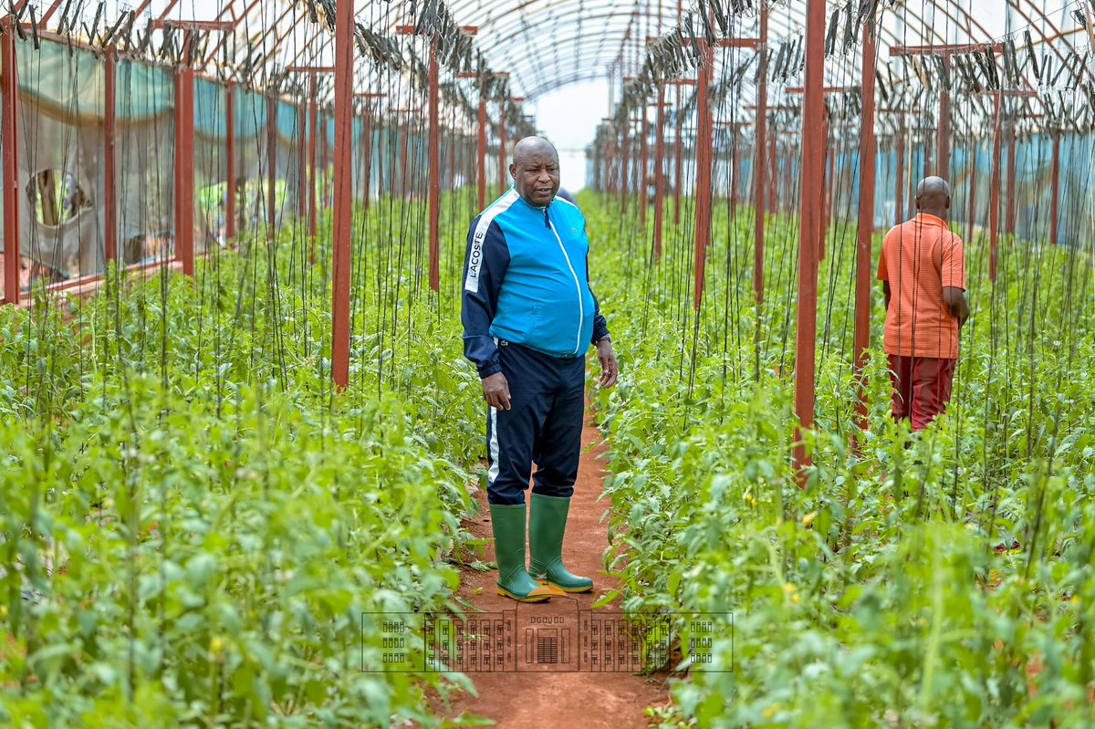 GeneralNeva's tweet image. Mu gihugu cacu, nta muntu afise umwete wo gufata isuka yo kurima arimarima.
Nta kintu gihimbaye nko kurima mu gihe c’ici, ukimbura nko mu gatasi.
Barundi benewacu,
Ndabateye intege gushira imitahe mu burimyi no mu gihe c’ici, muzohimbarwa mukubise agatemere aho mwakubise isuka.