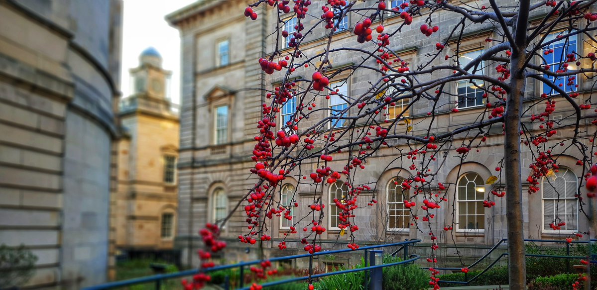 NatRecordsScot's tweet image. We’re seeking a Fire Safety Manager to work in some of Scotland's most historic buildings.
Find out more about the position and apply online 👇
bit.ly/NRS-FireSafety…