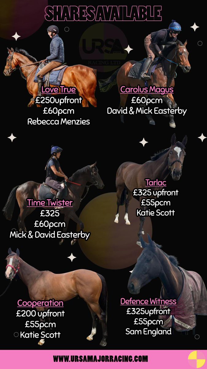 Ursa Major Racing Ltd (@ursamajorracing) on Twitter photo We have some shares available 🩷💛 We have some shares available 🩷💛