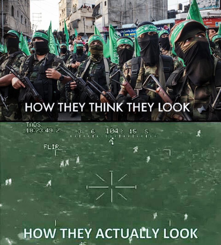 <a href="/TRobinsonNewEra/">Tommy Robinson 🇬🇧</a>