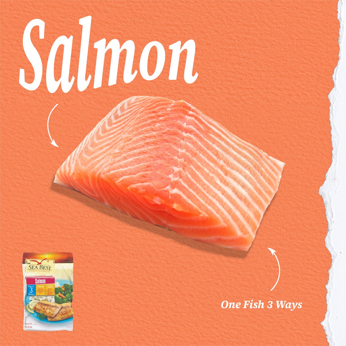 SeaBestSeafood's tweet image. Salmon doesn’t have to be boring ✨
Check out 3 delicious ways to use our Sea Best salmon fillets and take your mealtime to the next level!
#SeaBest