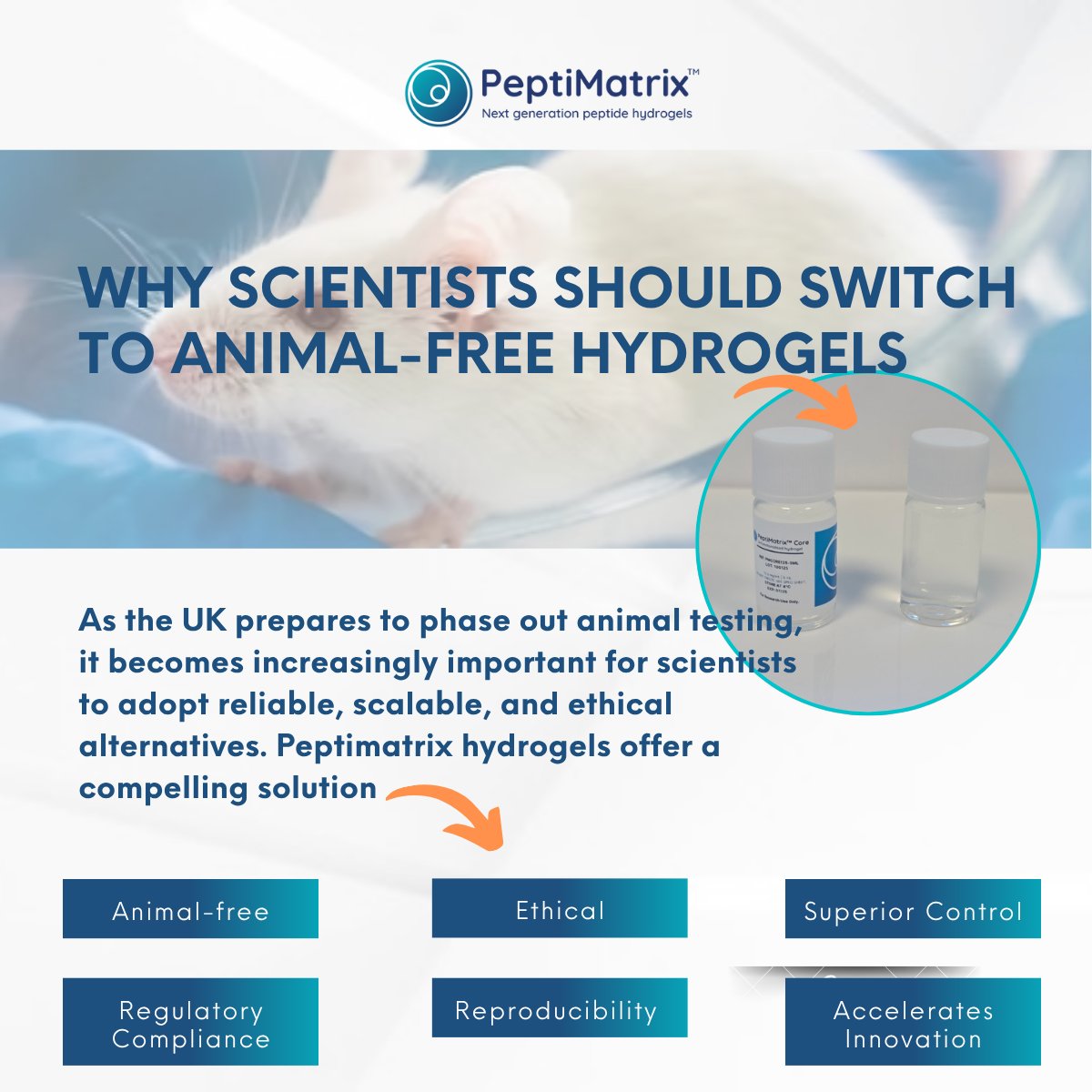PeptiMatrix's tweet image. As the UK phases out animal testing, it's time for science to evolve.
PeptiMatrix hydrogels are fully synthetic, ethical, and scientifically superior to animal-derived products like Matrigel.
✅ Reproducible
✅ Scalable
✅ Human-relevant
peptimatrix.com