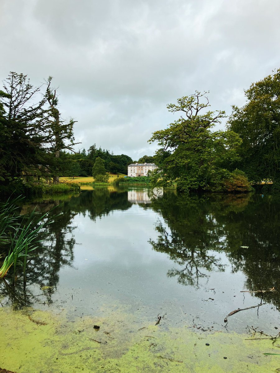 aIIegoricaI's tweet image. A pleasant start to the weekend