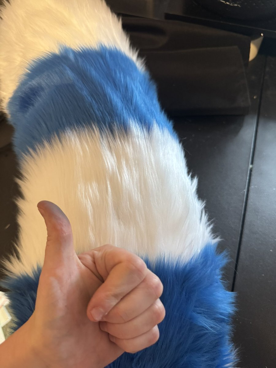 CoyoteArcade's tweet image. Hidden tail loop! Good for keeping long tails off the ground ✨