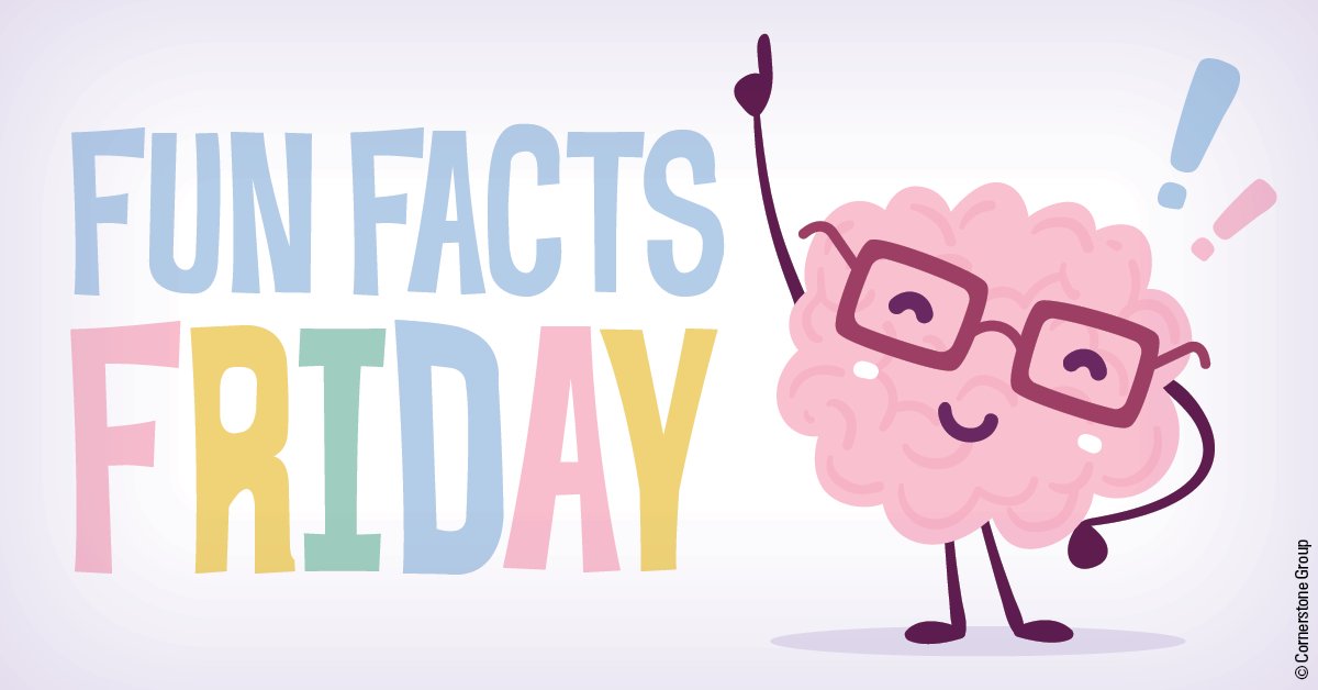 YouTube is the second-most-popular website in the world, next to Google. While it may feel like YouTube has been around forever, its first video was uploaded in 2005 by YouTube co-founder Jawed Karim of him in front of the elephant enclosure at the San Diego Zoo.
