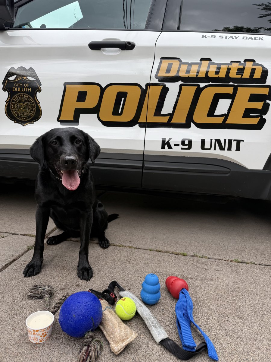 DuluthMNPolice's tweet image. Happy 7th Birthday to K9 Kallie! Kallie is celebrating today with 7 new toys and treats to enjoy 🎉