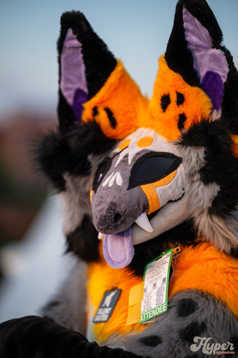 thetwistedpuppy's tweet image. Watchin the sunset this #FursuitFriday 

📸 @jordanfelle
