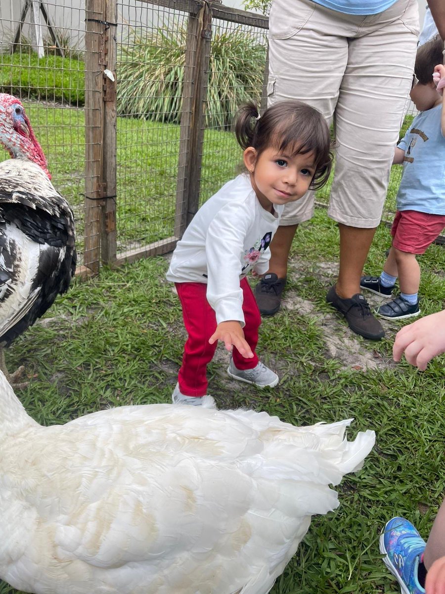 It's Animal Adventure Week at Early Intervention Summer Camp, so a special visit from The Little Farm is right on theme! 🐇🪿🦃🐐

Double the cuteness! Toddler students with visual impairment, under the careful supervision of their instructors and TVI's, have a sensory adventure