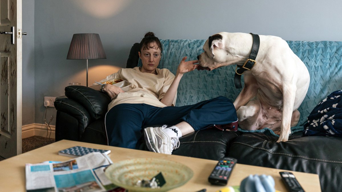 #cinema “A lot of people have said, ‘I’m going to call my mum,’ after watching it”: Paul Andrew Williams and Jason Watkins on Dragonfly at <a href="/KVIFF/">Karlovy Vary IFF</a> theupcoming.co.uk/2025/07/09/a-l…