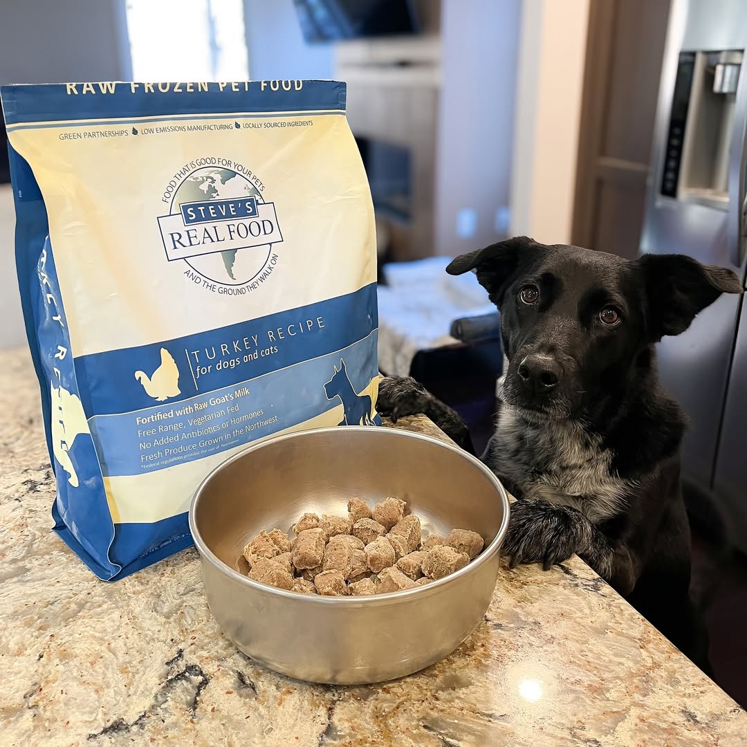 When you act casual… but you're definitely counting every second until the bowl hits the floor. 😅🐕
Patience is hard when the food smells that good.
