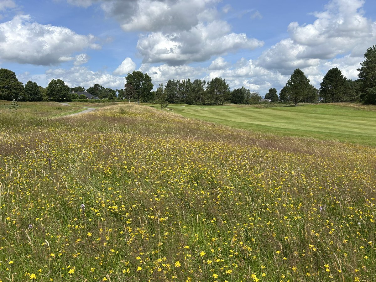 Pangaea Golf Architecture (@pangaeagolf) on Twitter photo Wonderful visit to <a href="/GleneaglesGolf/">Gleneagles Golf</a> <a href="/Gleneagleshotel/">Gleneagles</a> to start the <a href="/sustainablegolf/">GEO Foundation for Sustainable Golf</a> re certification process! Some inspirational conversation with the Gleneagles sustainability staff! <a href="/EIGCA/">EIGCA ⛳️</a> <a href="/ASGCA/">ASGCA Home Offices</a> <a href="/danjeffer/">Jeffrey Danner, PLA, ASGCA, EIGCA, ASLA</a> <a href="/RennieDesign1/">Stuart Rennie</a> <a href="/PangaeaGolf/">Pangaea Golf Architecture</a> ⛳️ ☀️ 😎 Wonderful visit to <a href="/GleneaglesGolf/">Gleneagles Golf</a> <a href="/Gleneagleshotel/">Gleneagles</a> to start the <a href="/sustainablegolf/">GEO Foundation for Sustainable Golf</a> re certification process! Some inspirational conversation with the Gleneagles sustainability staff! <a href="/EIGCA/">EIGCA ⛳️</a> <a href="/ASGCA/">ASGCA Home Offices</a> <a href="/danjeffer/">Jeffrey Danner, PLA, ASGCA, EIGCA, ASLA</a> <a href="/RennieDesign1/">Stuart Rennie</a> <a href="/PangaeaGolf/">Pangaea Golf Architecture</a> ⛳️ ☀️ 😎