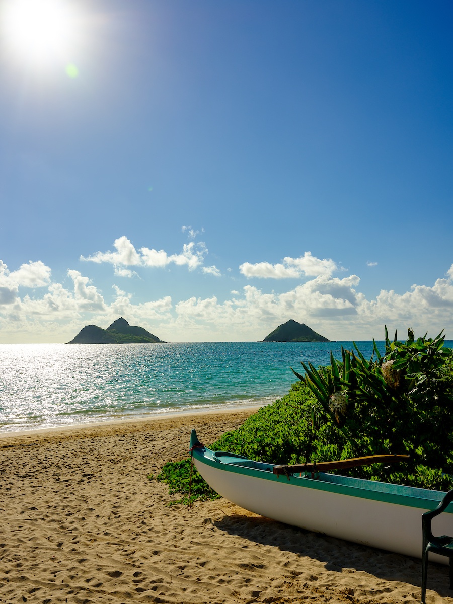 HAWAI'I Magazine tweet media