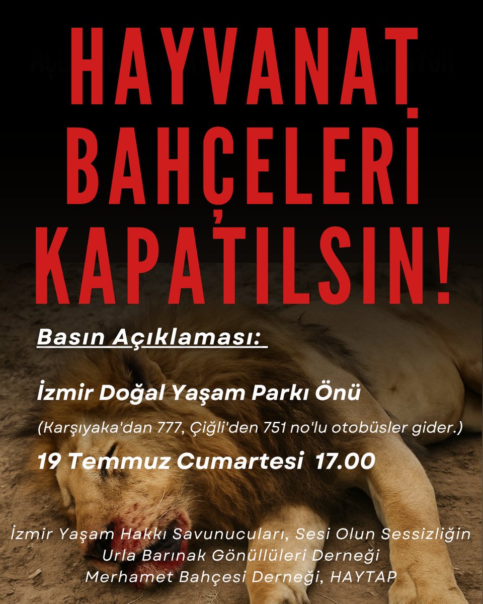 sevo (@redcrow08) on Twitter photo <a href="/MTanal/">Av.Mahmut TANAL</a> Bakınız CHP Belediyesi: Nazi kampı neyse, Dikili Belediyesi aynısı! Bu vahşeti nasıl açıklıyorsunuz? Nerede demokrasi, nerede çağdaşlık? CHP buysa, biz seçmeninizden hangi yüzle oy isteyeceksiniz? <a href="/MTanal/">Av.Mahmut TANAL</a> Bakınız CHP Belediyesi: Nazi kampı neyse, Dikili Belediyesi aynısı! Bu vahşeti nasıl açıklıyorsunuz? Nerede demokrasi, nerede çağdaşlık? CHP buysa, biz seçmeninizden hangi yüzle oy isteyeceksiniz?