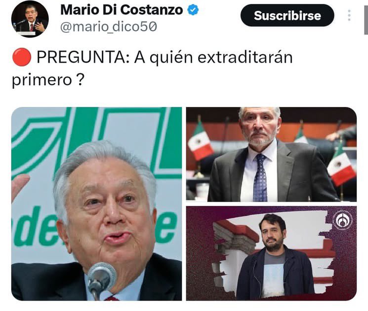 Rbpollo's tweet image. 