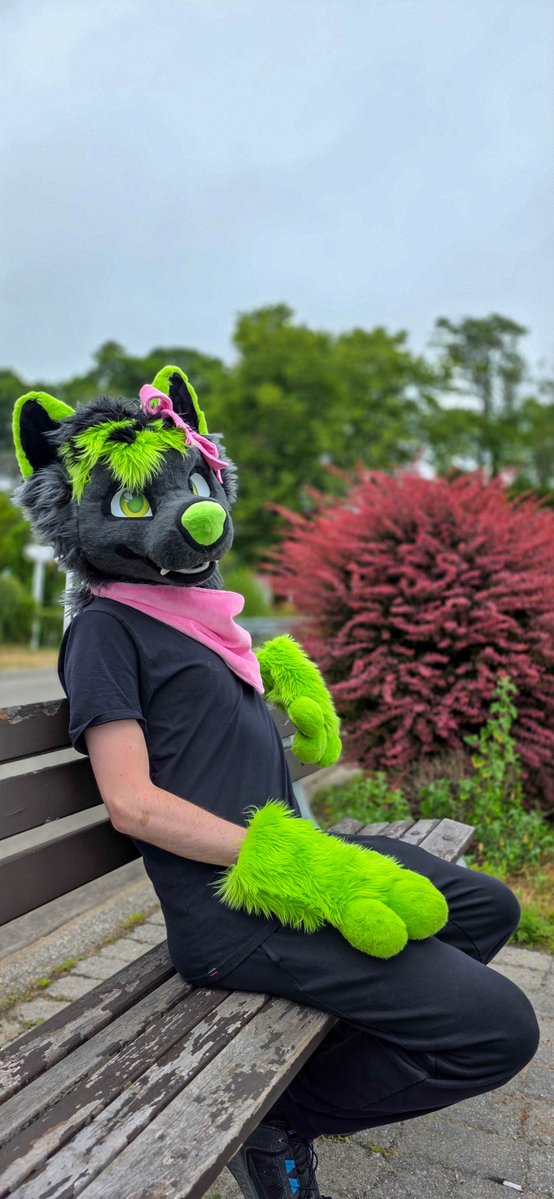 ItsPoofs's tweet image. The ultimate test of patience: The pre-pupcup wait.
#FursuitFriday
📸@Theblizzardwolf