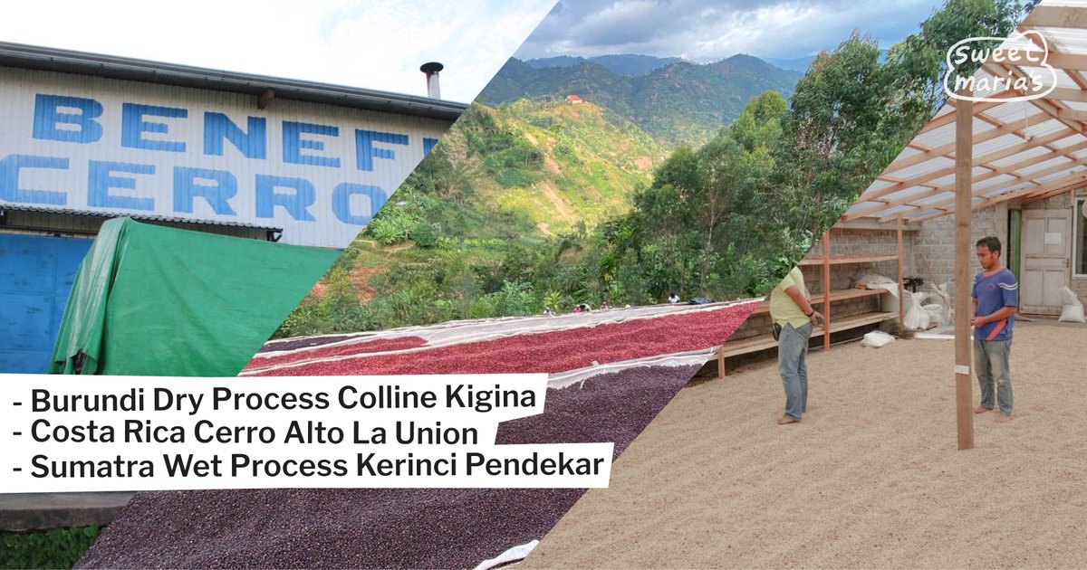 A berry-toned Burundi dry process, a cocoa-laced Costa Rican lot, and a bassy washed Sumatran coffee are this Friday's latest additions. 🌱

Shop now: sweetmarias.com/catalogsearch/…