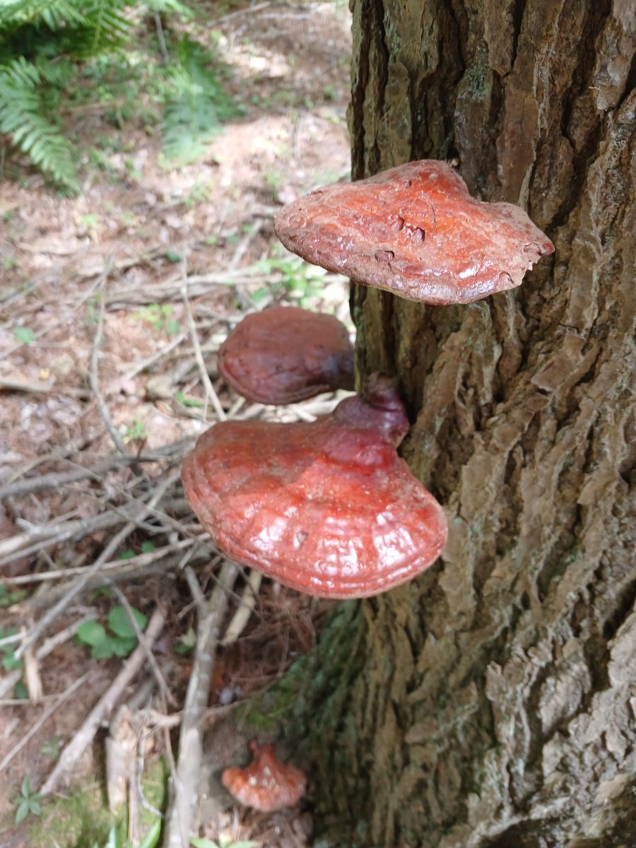 MrPhill_Good's tweet image. Nice