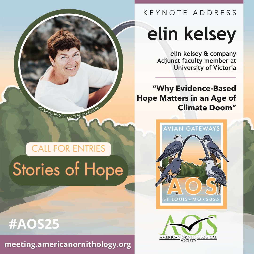 AmOrnith's tweet image. #AOS25 keynote speaker elin kelsey is seeking Stories of Hope: conservation, field work, research, education/outreach successes; feel-good encounters that made you think differently; work or people from whom you draw strength. Share your story!
meeting.americanornithology.org/program/keynot…