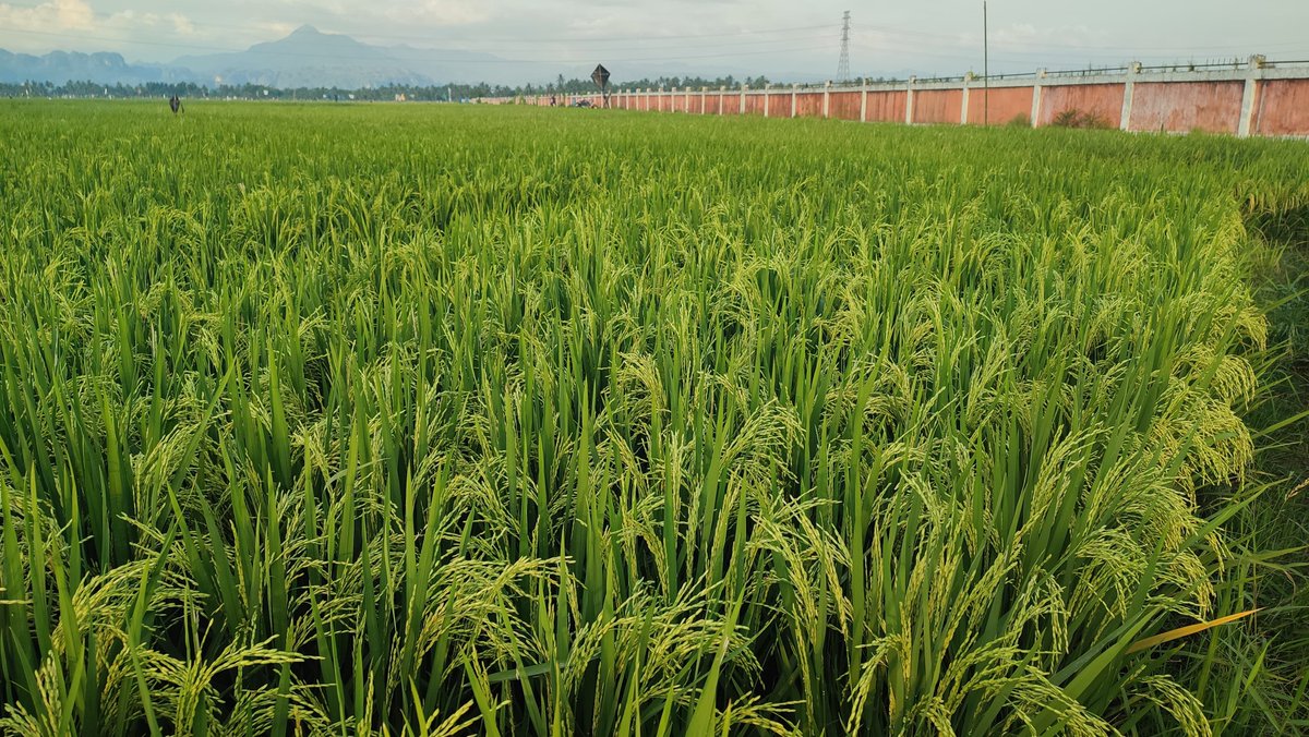 7400 x 10 ton ,ngeriii