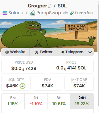 Good morning, everyone, and Happy Friday - just wanted to point out that $GROYPER is still one of my favorite Solana meme coins.  

The current political landscape right now and the popularity of Nick will lead to multiple pumps.  

The #groyper  community is like a fan club for