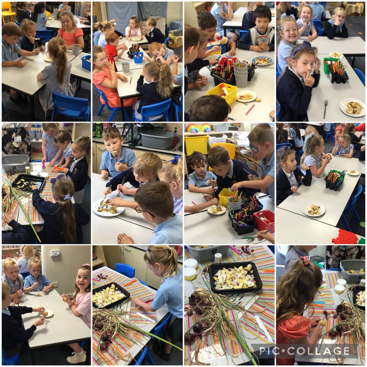 Year 1 at Our Lady's (@year1missl) on Twitter photo Yesterday with Mrs West and Mrs Clarke we enjoyed making a potato tray bake with all of the vegetables grown in the garden <a href="/OURLADYSASPULL/">Our Lady's Aspull</a> 🥕🥔🧅 Yesterday with Mrs West and Mrs Clarke we enjoyed making a potato tray bake with all of the vegetables grown in the garden <a href="/OURLADYSASPULL/">Our Lady's Aspull</a> 🥕🥔🧅