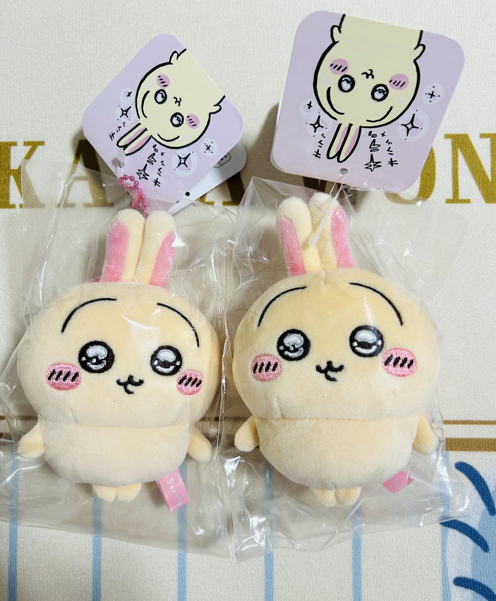 ちいかわハチワレは売り切れだったけどうさぎは残っててぴーぽぽお迎えできた…！かわいい🥹💛
受注分のスッキリ目も届いた🫶
