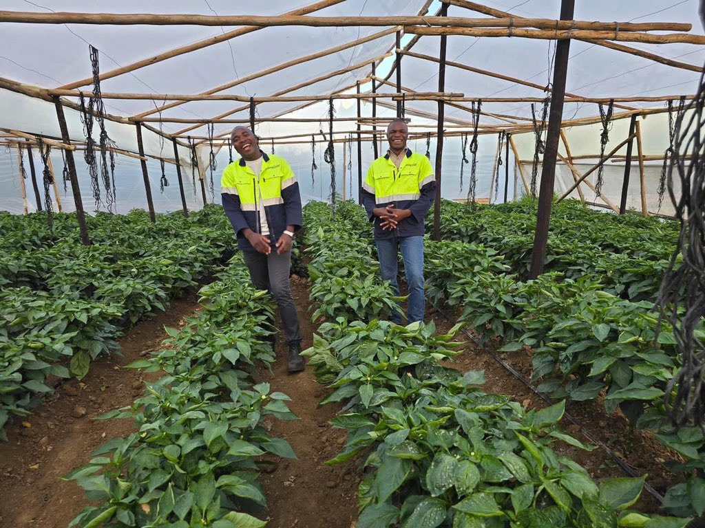 From Losses to Profits: Master Farm Budgeting with These 5 Steps

"5 Steps to Create a Profitable Farm Budget" 📊

Are you tired of wondering where your farm's money is going? Do you want to increase your profits and sustainability? Start by creating a comprehensive farm budget.