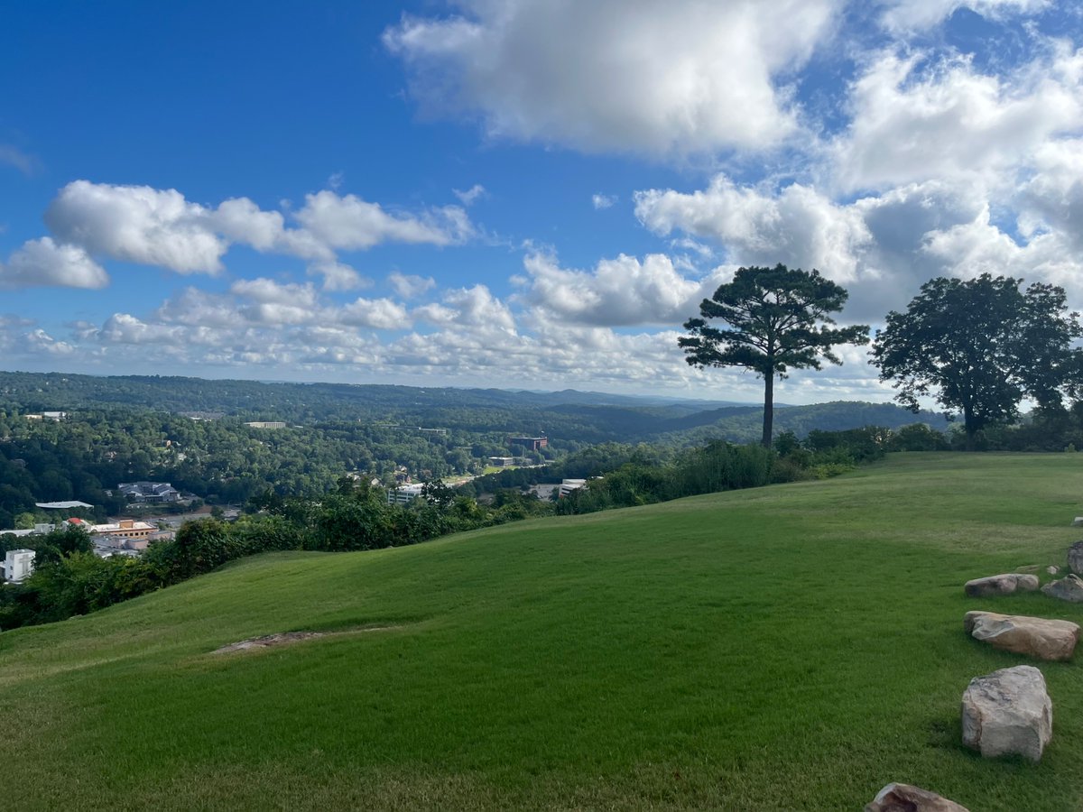 winsletts's tweet image. 5 long morning walks this week — ~ 12,000 steps per walk