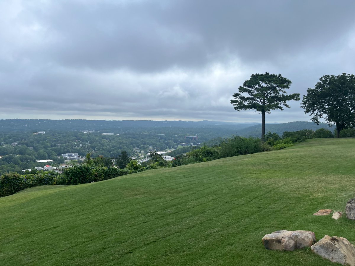 winsletts's tweet image. 5 long morning walks this week — ~ 12,000 steps per walk