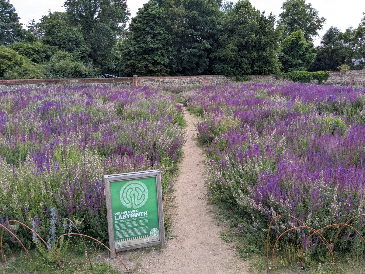 stedscath's tweet image. Labyrinths are a spiritual exercise encouraging reflection and contemplation. The wildflower labyrinth in the Abbey Gardens is behind the ruins of the crypt. Come along Sunday afternoon, July 20 or August 17, 2.00 pm - 5.00 pm for a blessing on a mini-pilgrimage.