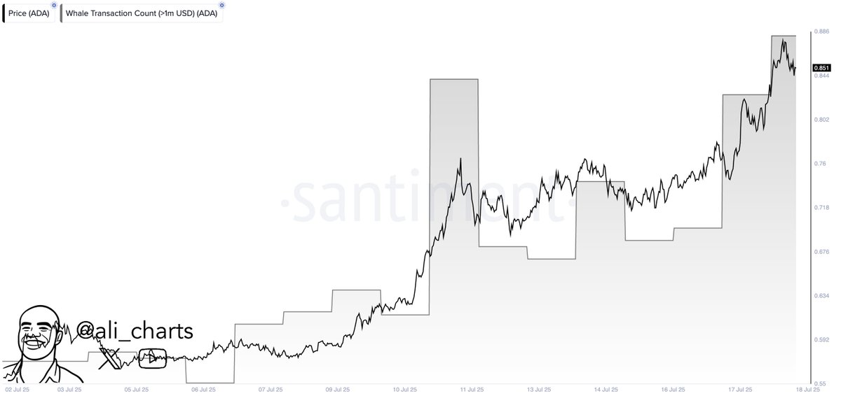 ali_charts's tweet image. Whale activity on the Cardano $ADA network has surged this week. Over 137 transactions of over $1 million each were recorded in the last 24 hours!