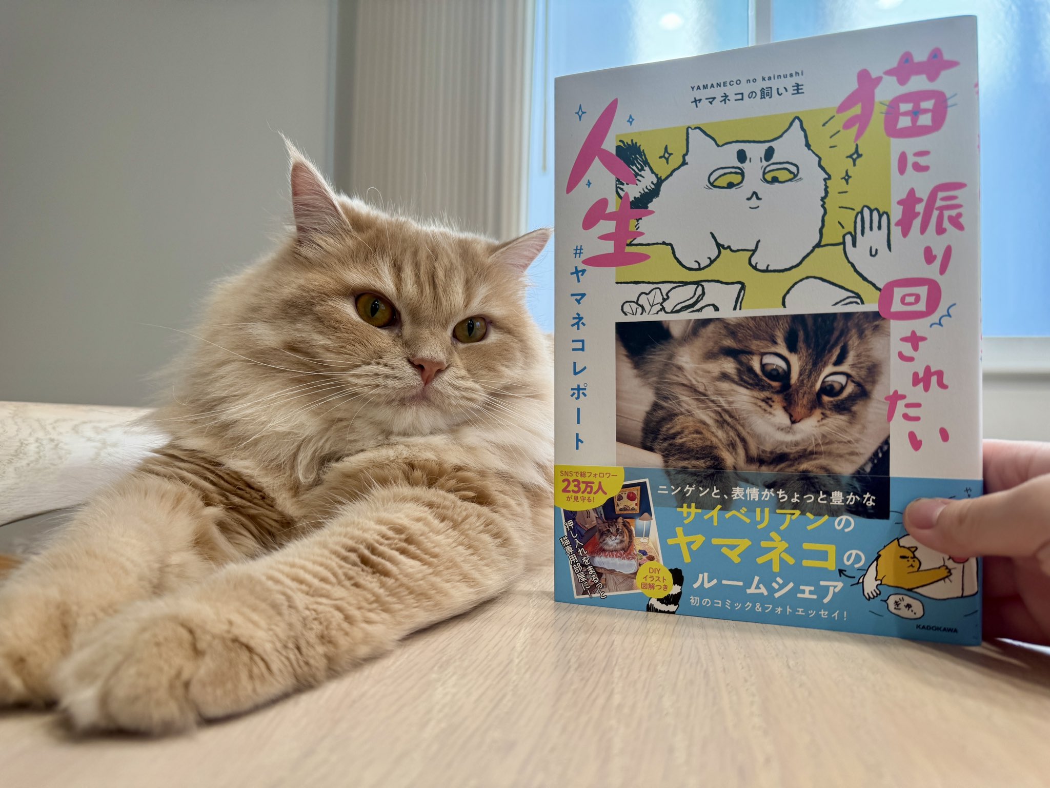 ねこやなぎー★プロフ一読ください★ ねこやなぎー☆プロフ一読ください☆様 リクエスト 2点 まとめ