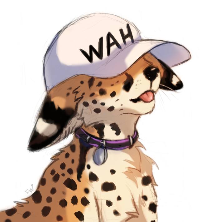 Flash W (open for commissions) tweet media