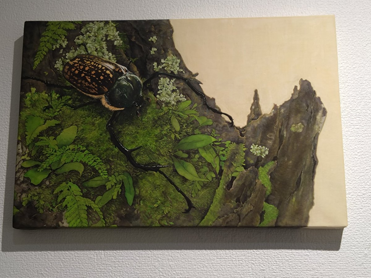 Maru_Ohno7's tweet image. 先日の遠征。
INSECT展(@insects_6464 )
今年でラストって、寂しすぎる!
でも、各々がさらに進化していくと
信じてます。
ワクワクする作品をありがとう💕
7月19日(土)まで
#昆虫 #INSECT