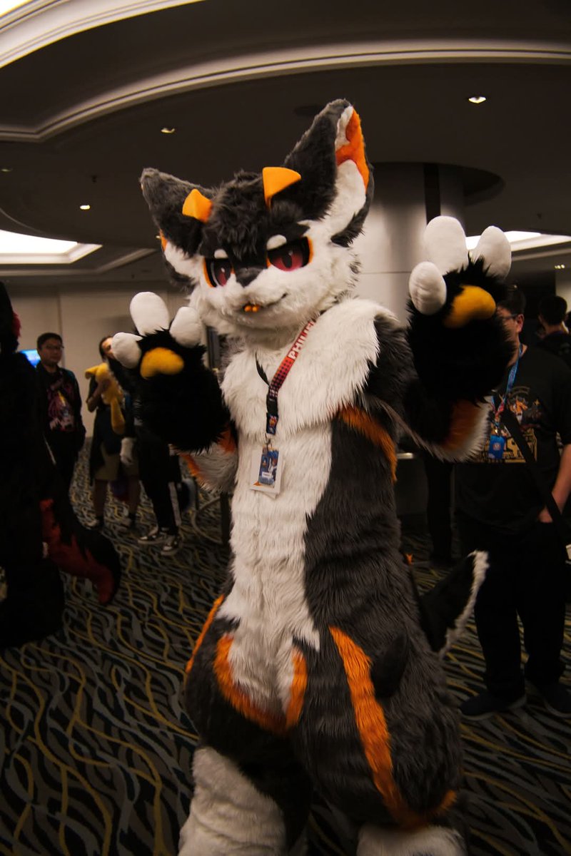 Oh hi, just posing for the camera here. Nothing special ;)

#FursuitFriday #FursuitEveryday #fursuiter #fursuiting #fursuit #Furry