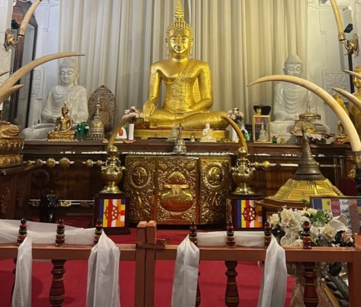 kiransirji's tweet image. “Thousands of candles can be lit from a single candle, and the life of the candle will not be shortened.”-Lord buddha.
#dalailama