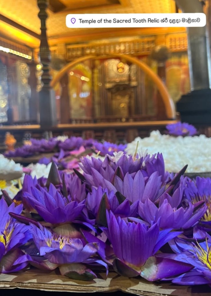 kiransirji's tweet image. “Thousands of candles can be lit from a single candle, and the life of the candle will not be shortened.”-Lord buddha.
#dalailama