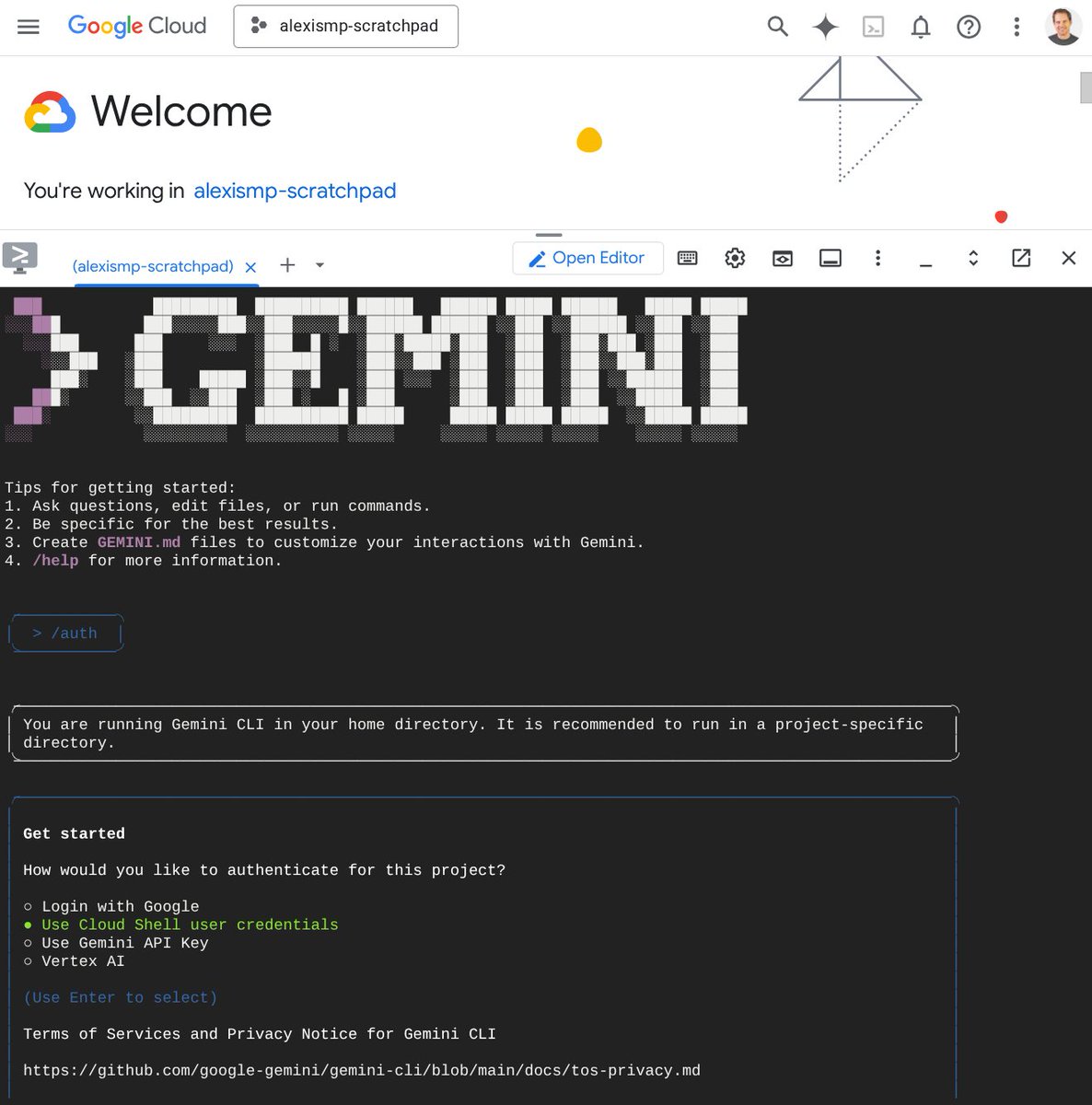 alexismp's tweet image. Look, @geminicli  landed in CloudShell!